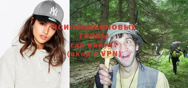 прущий лед Белокуриха