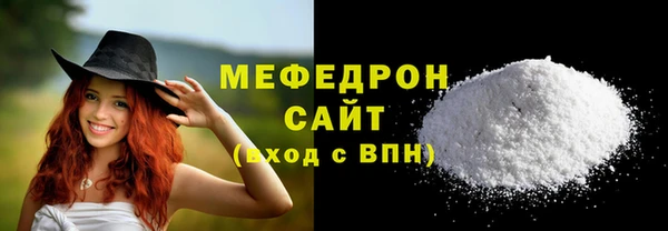 мдпв Богородицк
