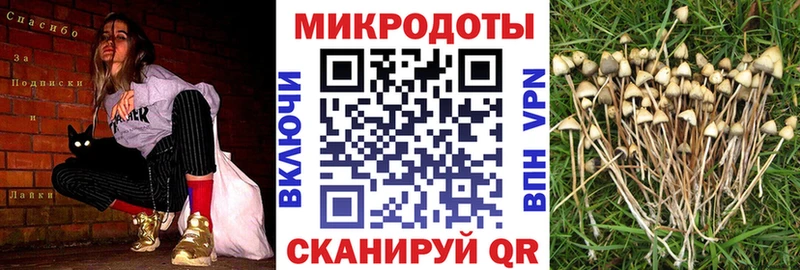 что такое Каменка Псилоцибиновые грибы MAGIC MUSHROOMS