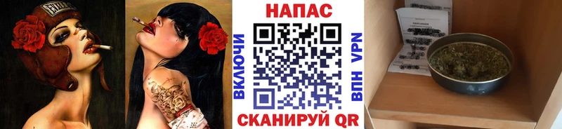 Канабис сатива  площадка состав  Каменка 